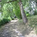 Lovely In With Hill View * Montefiridolfi