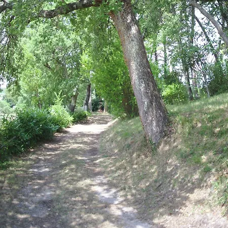 Lovely In With Hill View * Montefiridolfi