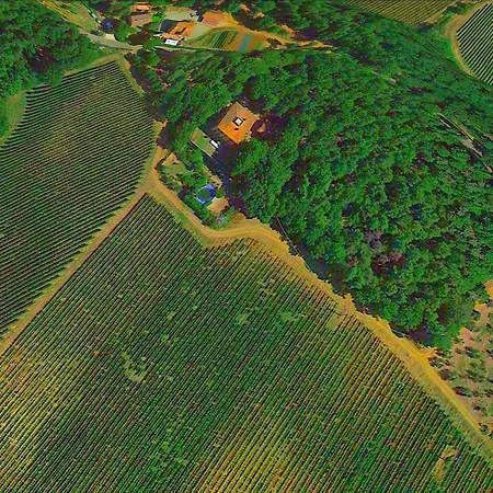 Lovely In With Hill View Дом отдыха *