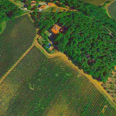 Lovely In With Hill View Дом отдыха *