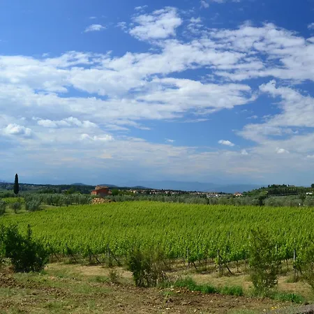 بيت للعطل Lovely In With Hill View Montefiridolfi