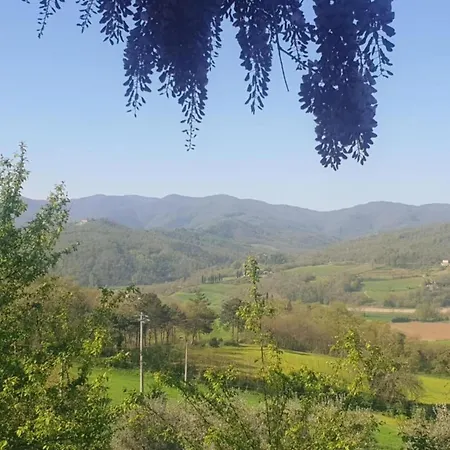 Lovely In With Hill View